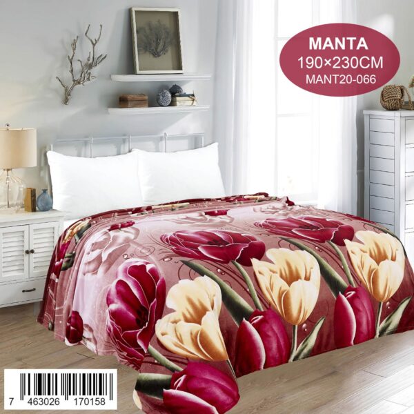 Manta estampada Queen/Full Size - Imagen 5