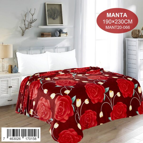 Manta estampada Queen/Full Size - Imagen 13
