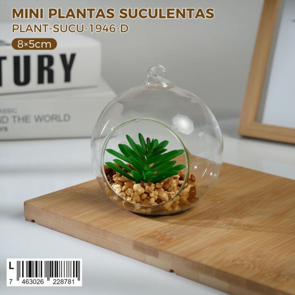 Plantas suculentas decorativas - Imagen 2